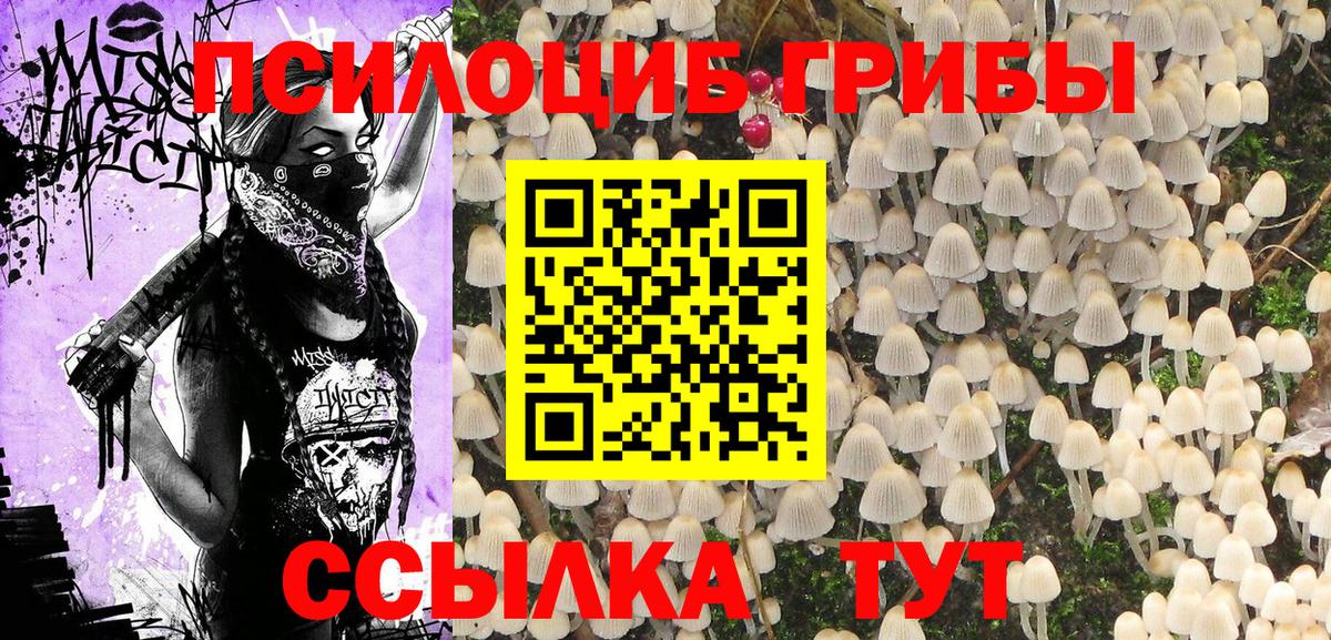 Псилоцибиновые грибы GOLDEN TEACHER  Вход с VPN  Муром 